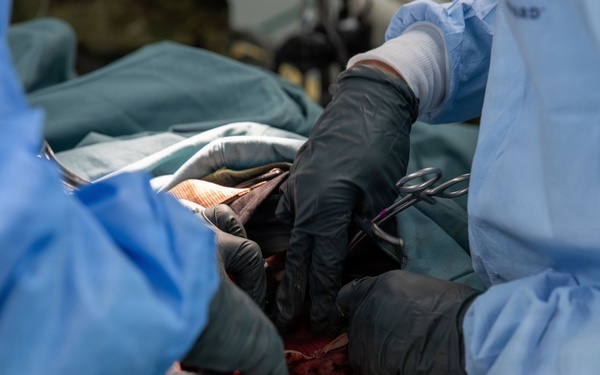 325th Field Hospital responds to simulated mass casualty event during Operation Bold Eagle's Exercise Global Medic 2026