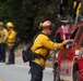 Timber Fire
