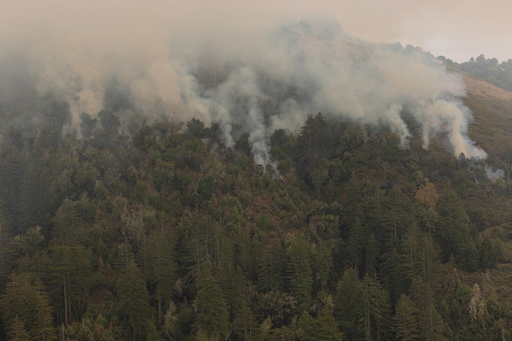 Timber Fire