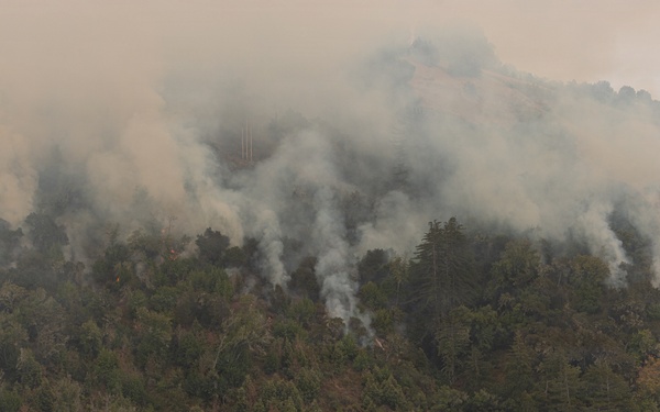 Timber Fire