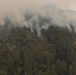 Timber Fire