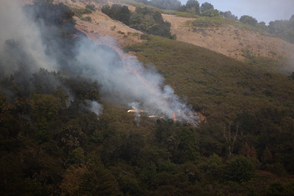 Timber Fire