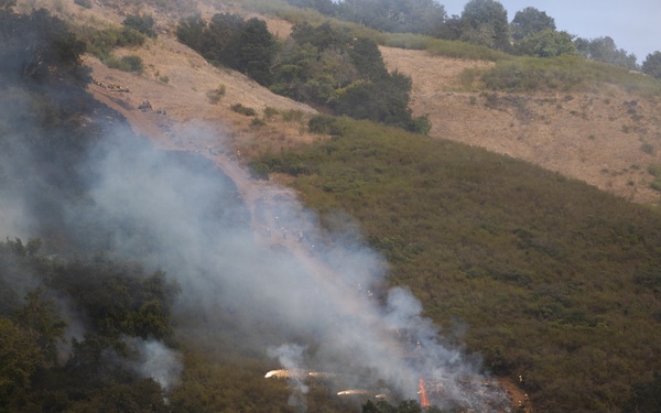 Timber Fire
