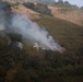 Timber Fire