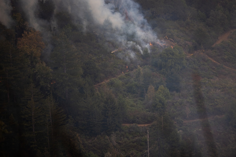 Timber Fire