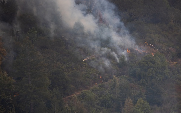 Timber Fire