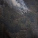 Timber Fire