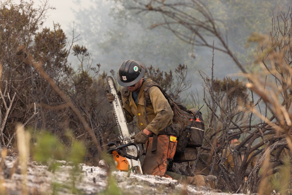 Timber Fire