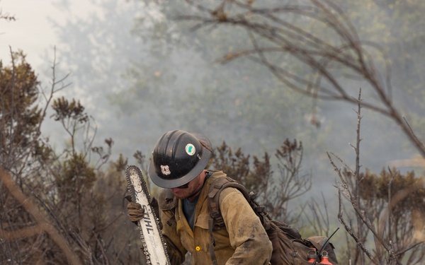 Timber Fire