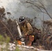 Timber Fire