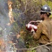Timber Fire