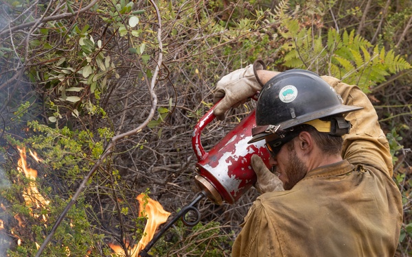 Timber Fire