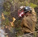 Timber Fire