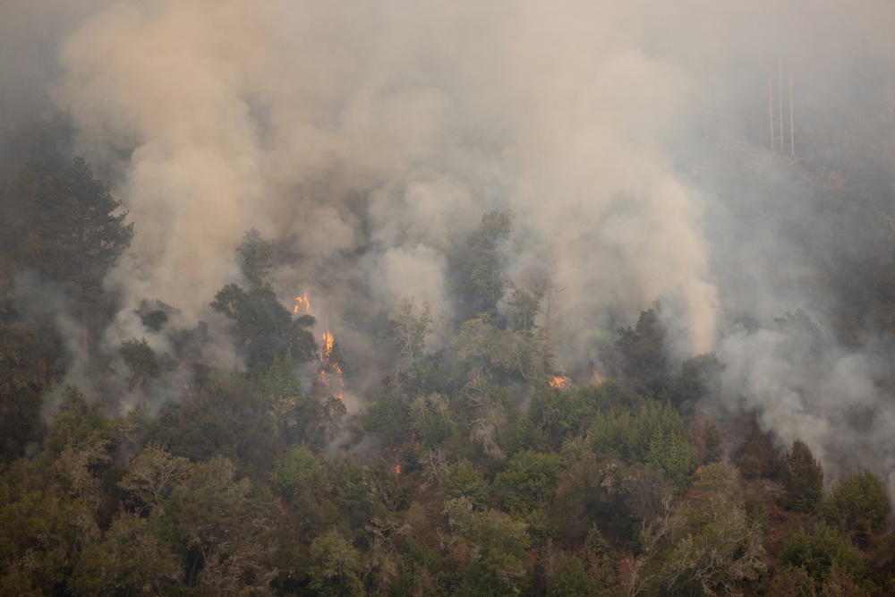 Timber Fire