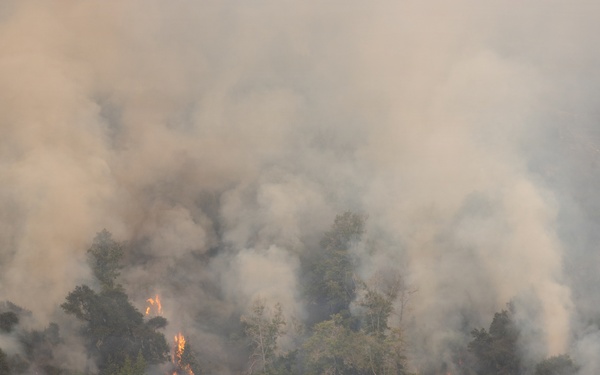 Timber Fire