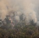 Timber Fire