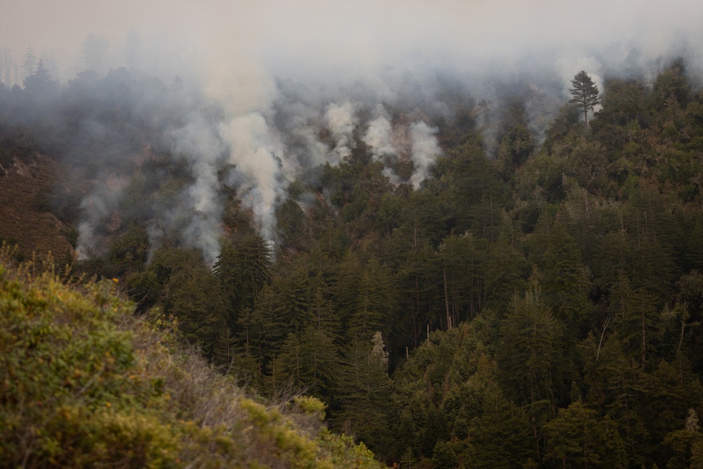 Timber Fire