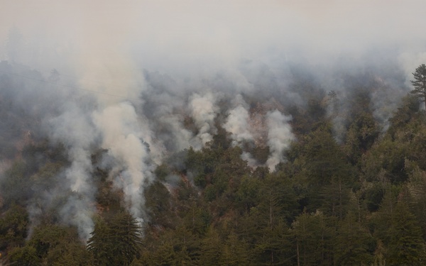 Timber Fire
