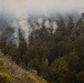 Timber Fire