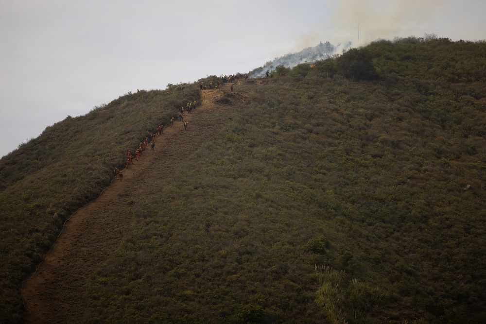 Timber Fire