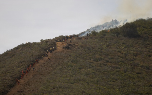 Timber Fire