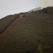 Timber Fire