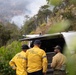 Timber Fire