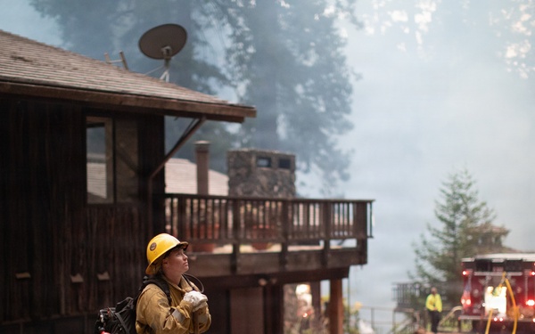 Timber Fire