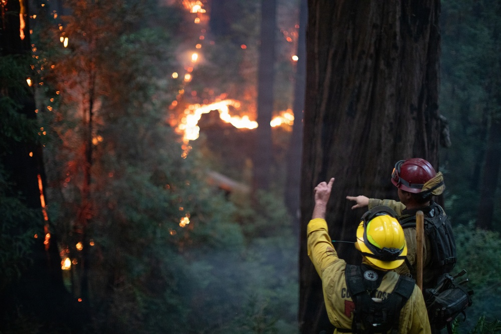 Timber Fire