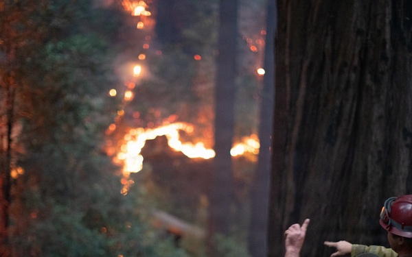 Timber Fire