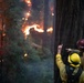 Timber Fire