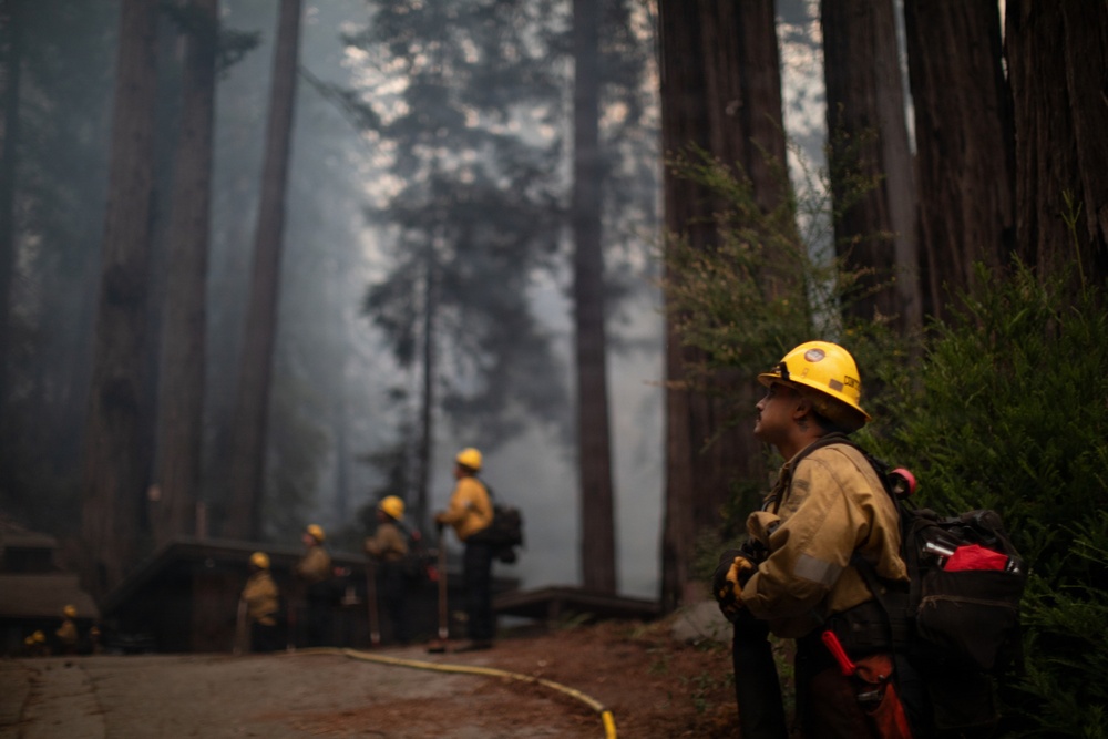 Timber Fire