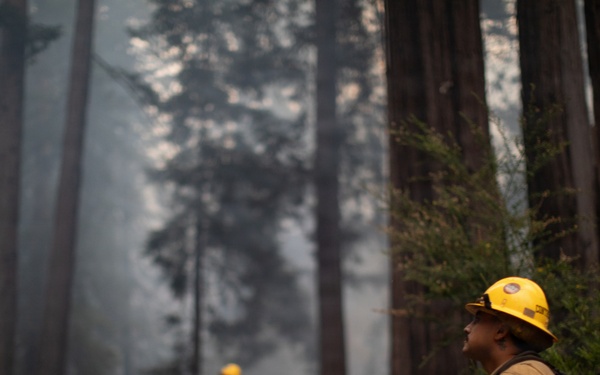 Timber Fire