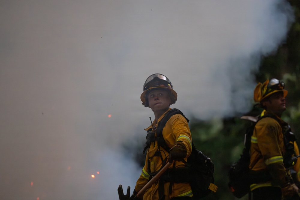 Timber Fire