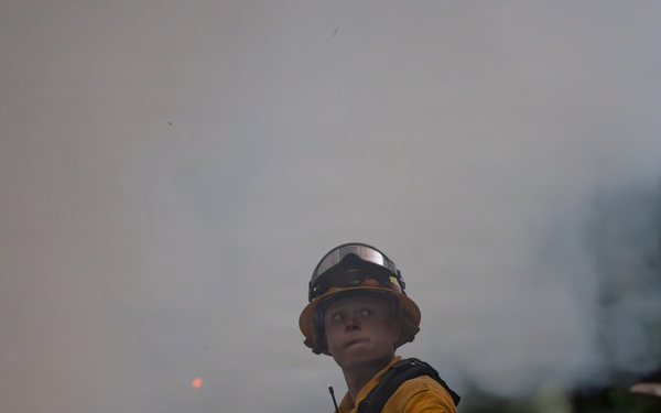 Timber Fire