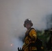 Timber Fire
