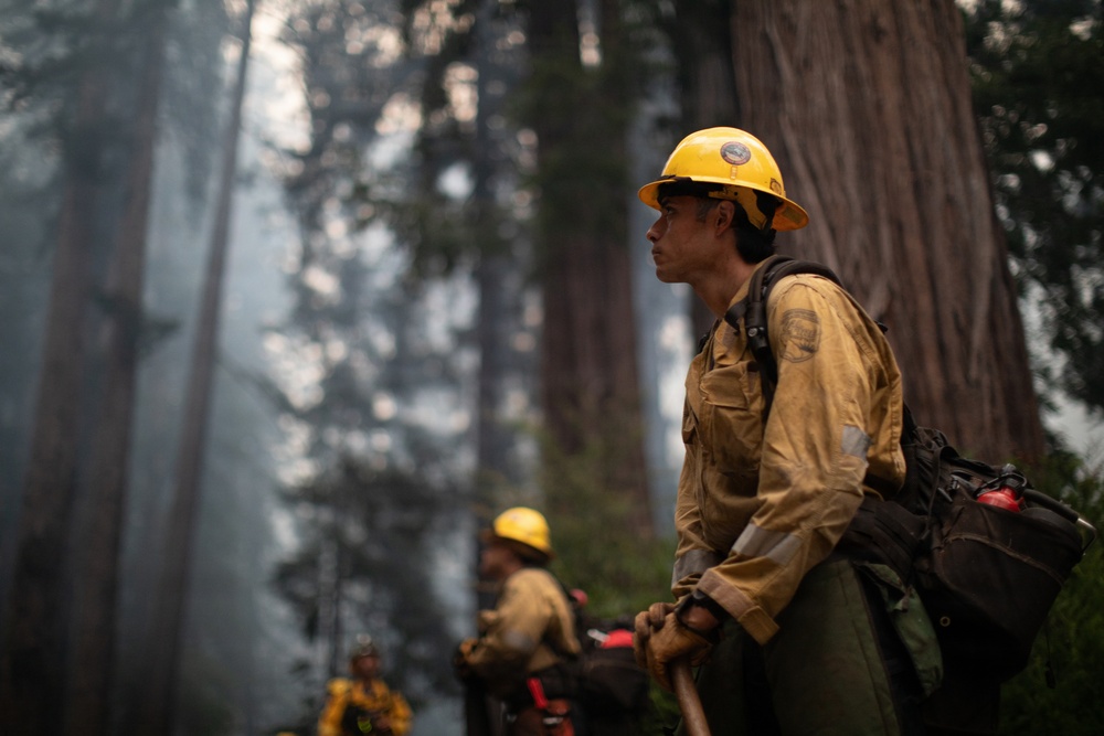 Timber Fire