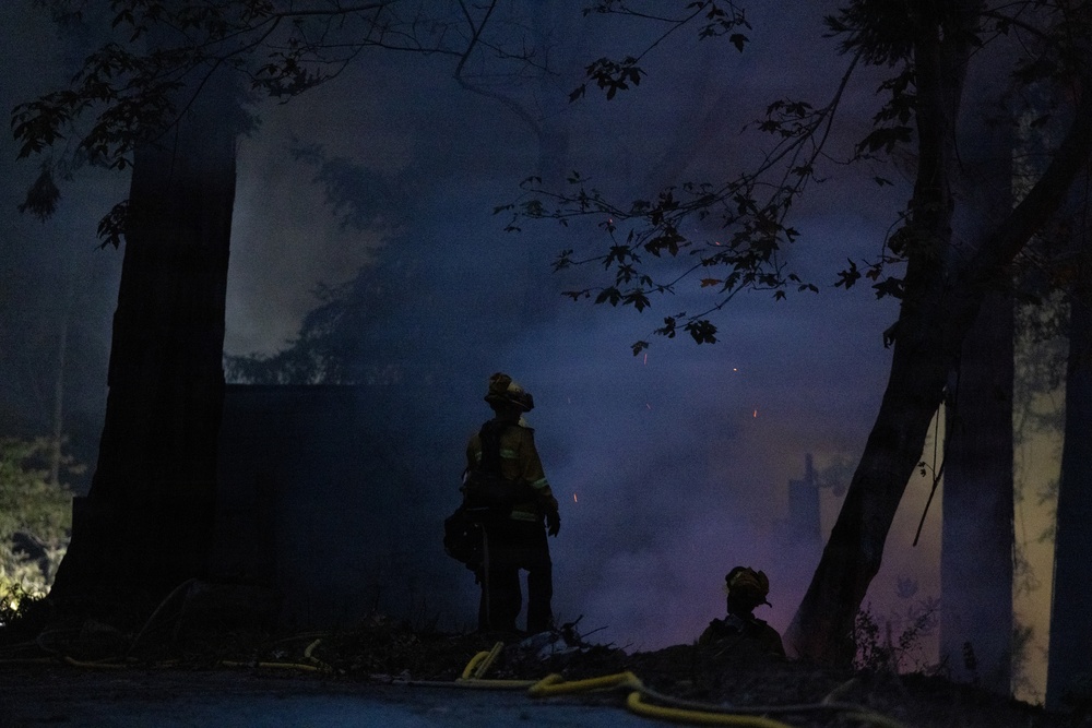 Timber Fire