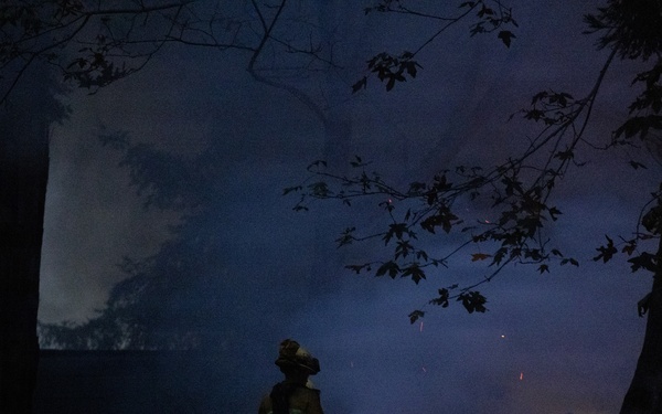 Timber Fire