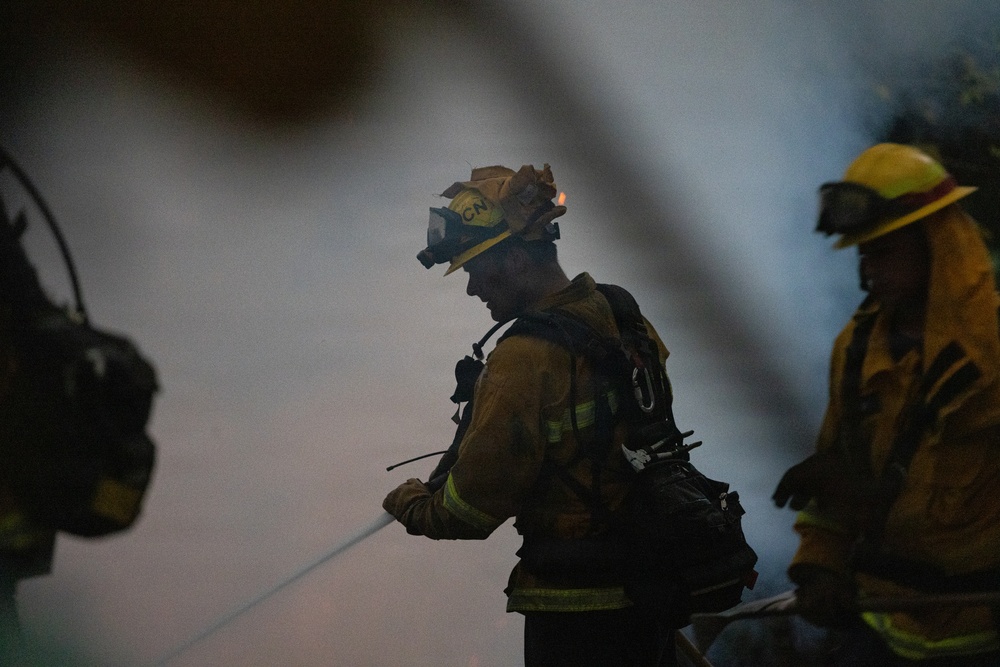 Timber Fire