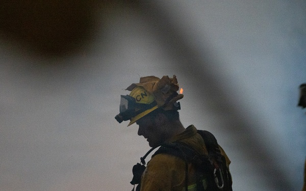 Timber Fire