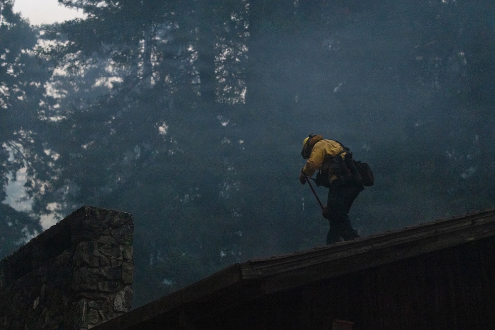 Timber Fire
