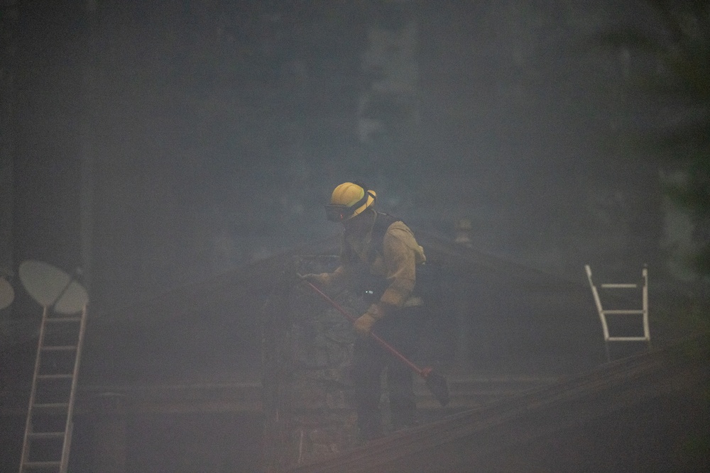 Timber Fire