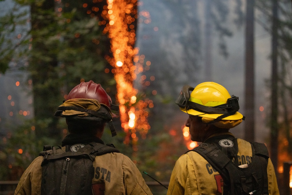 Timber Fire
