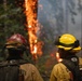 Timber Fire