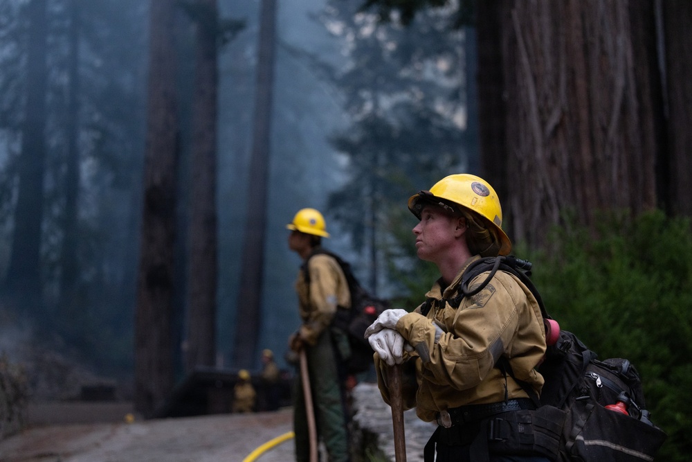 Timber Fire