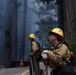 Timber Fire