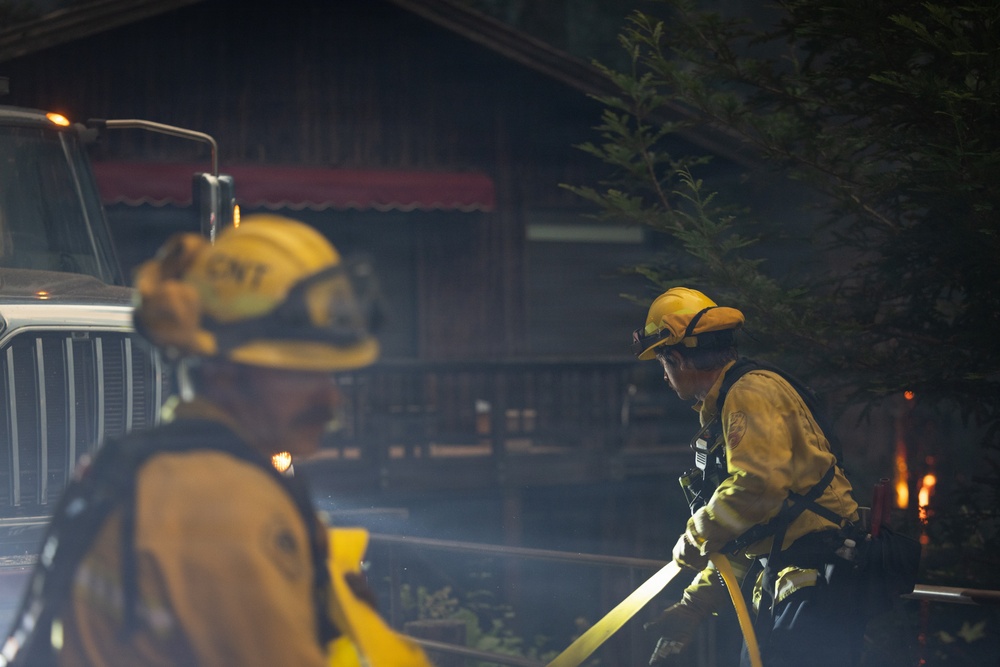 Timber Fire