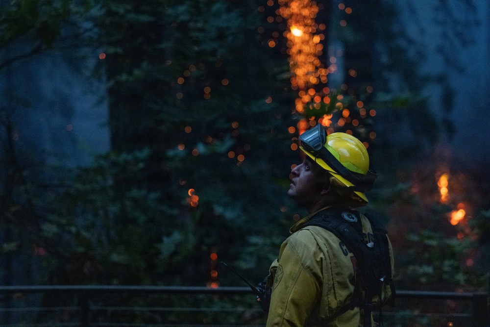 Timber Fire