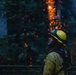 Timber Fire